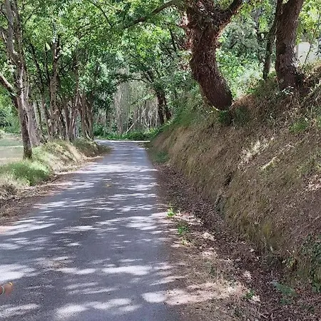 بيت للعطل Casa Da *